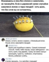 1701619013355.png