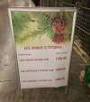 1701794158773.png