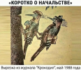 1701844417102.png