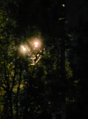 1701877478125.png