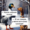 1701968494165.png