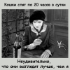 1702052299414.png