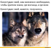 1702268288246.png