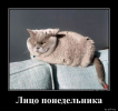 1702274606788.png
