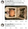 1702285872866.png