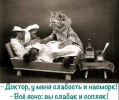 1702320191310.png