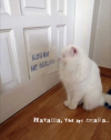 1702397049458.png