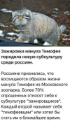 1702397221075.png