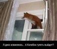 1702920110063.png