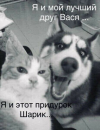 1703015564102.png