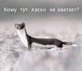 1703183775539.png