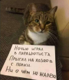1703183793211.png