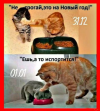 1703359498496.png