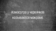 1703605031194.png