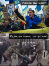 1704023459567.png