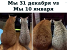 1704027799494.png
