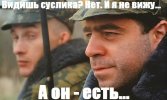 article14591.jpg
