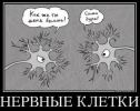 1704307735381.png