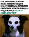 1704482996442.png