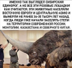 1704561563104.png