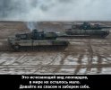 Вымирающие леопарды.jpg