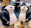 1704632527574.png