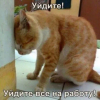 1704905893080.png