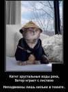 1704991666340.png