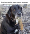 1705239993926.png