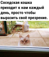 1705240467587.png