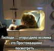 1705263844197.png