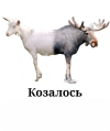 1705508177931.png