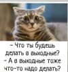 1705732641378.png