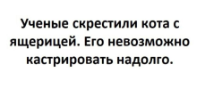 1705762095295.png