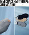 1705828486457.png
