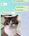 1706004684388.png
