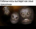 1706445202933.png