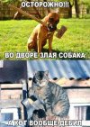 IMG_20240201_163237_001.jpg