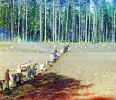 1707201395749.png