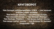 ФОН-4.jpg