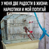 1708409596611.png