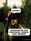 1708873286336.png
