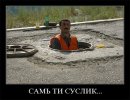 Суслик.jpg