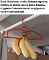 1709658411519.png