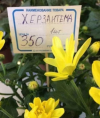1709893191124.png