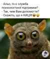 1715606009768.png 1715606009768.png