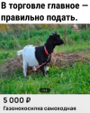 1716539072350.png
