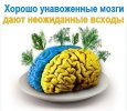 84a1647610496ff012c0acaeafec4b7c.jpg