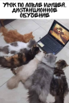 1717440877944.png