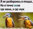 1717861160432.png